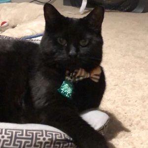 Meet your Posher, Hailey